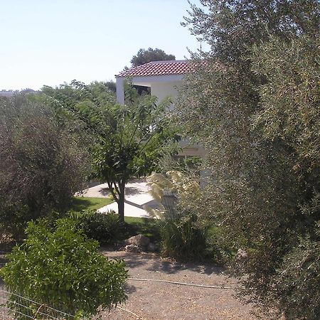פליראקי Nephele Apartments מראה חיצוני תמונה