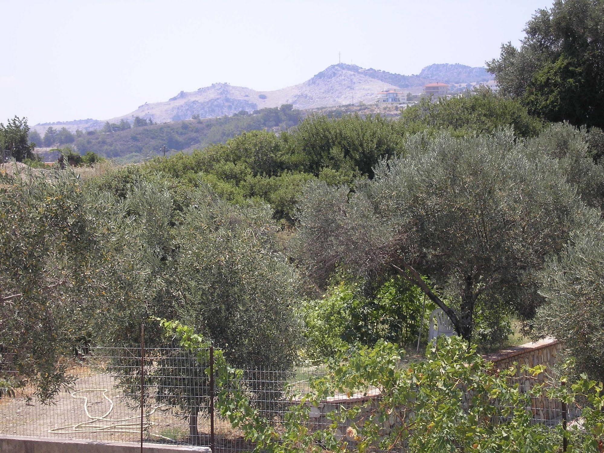 פליראקי Nephele Apartments מראה חיצוני תמונה